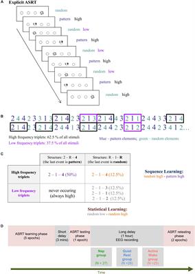 Deconstructing Procedural Memory: Different Learning Trajectories and Consolidation of Sequence and Statistical Learning